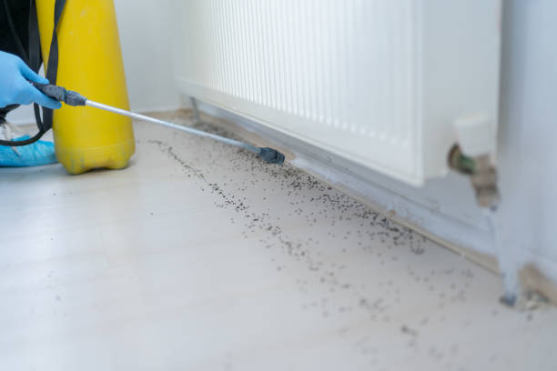 Best Pest Inspection Near Me  in Louisa, KY