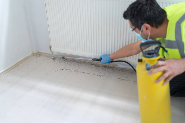 Best Residential Pest Control  in Louisa, KY